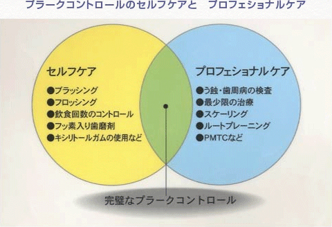 定期健診の重要性